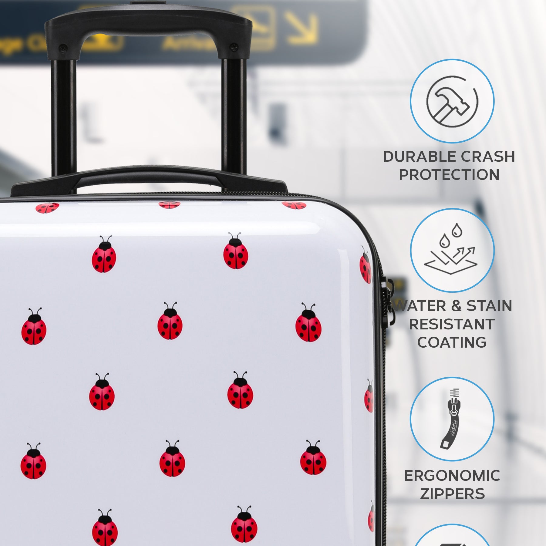 ffk11_ladybird_s_2.jpg