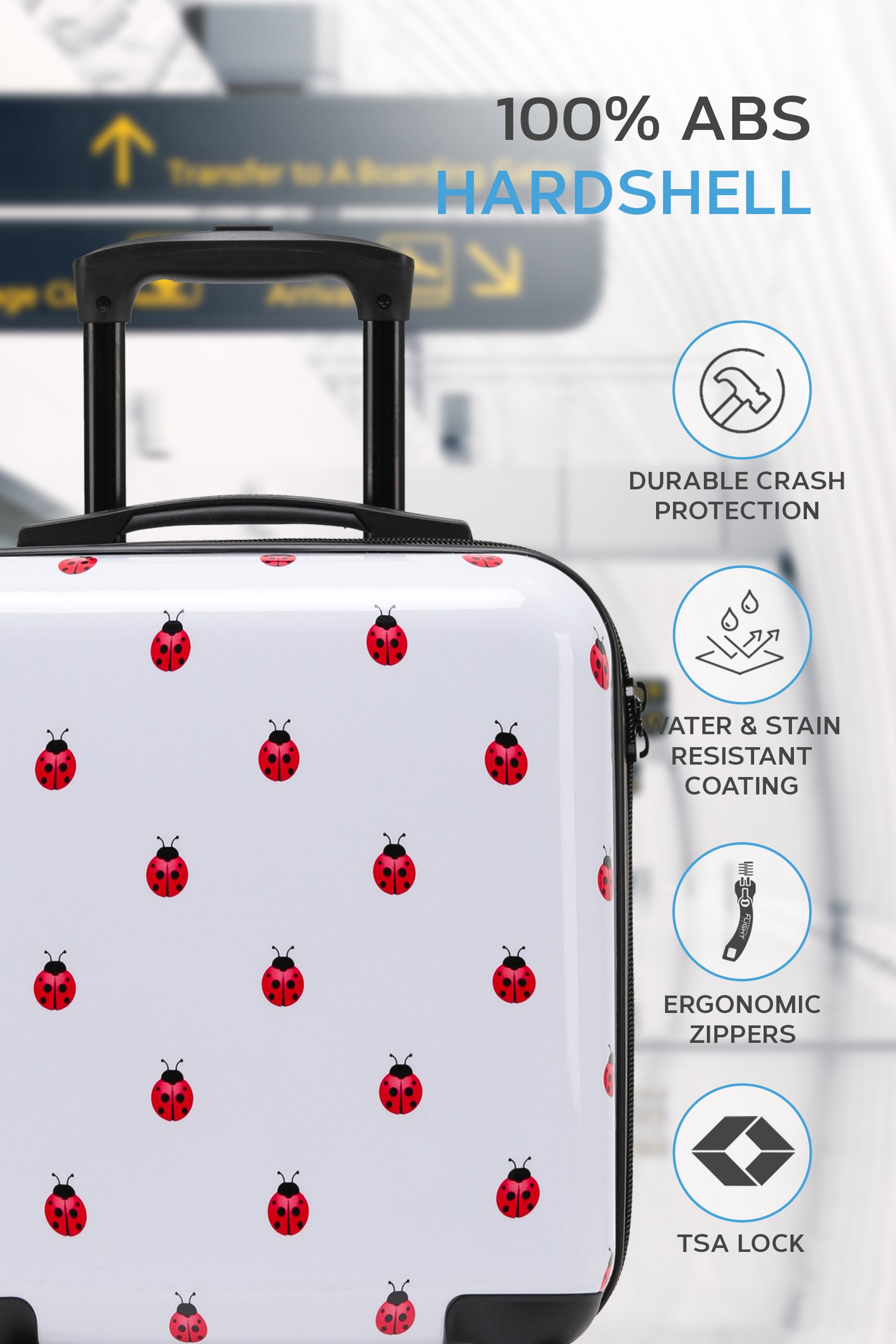 ffk11_ladybird_s_2.jpg