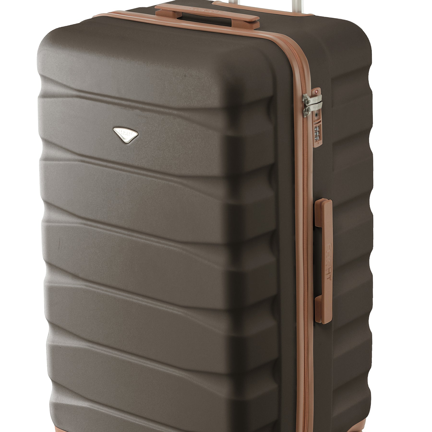 Large Trunk 31" Checked Luggage