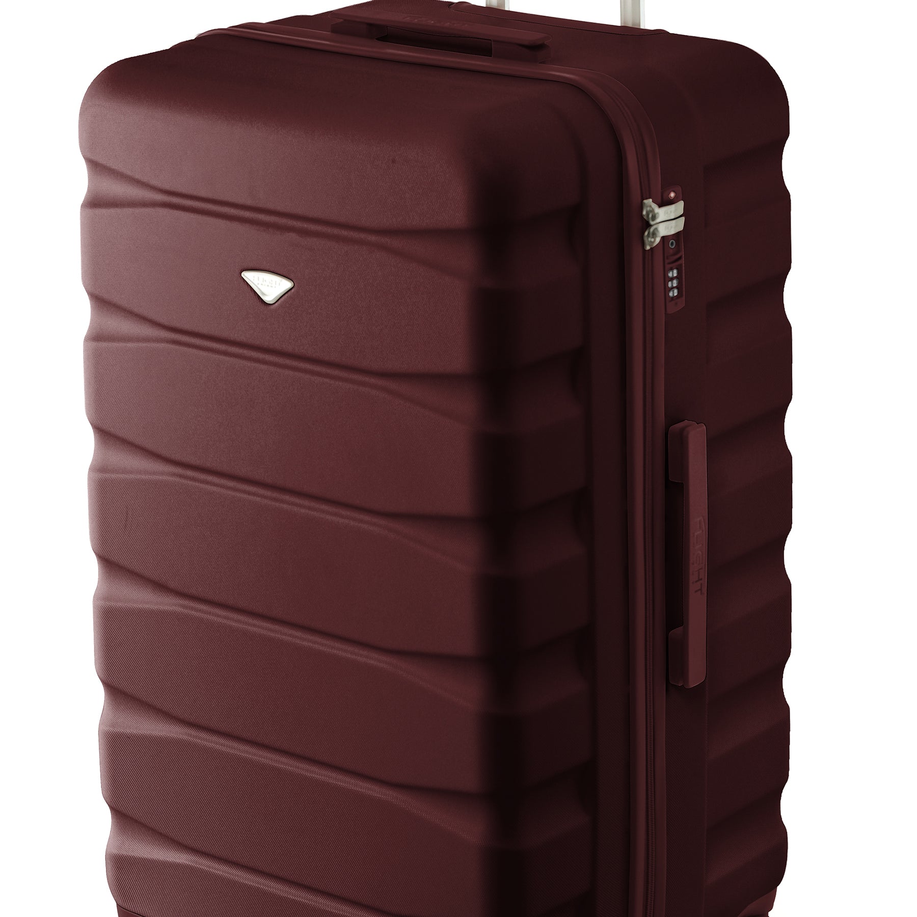 Large Trunk 31" Checked Luggage